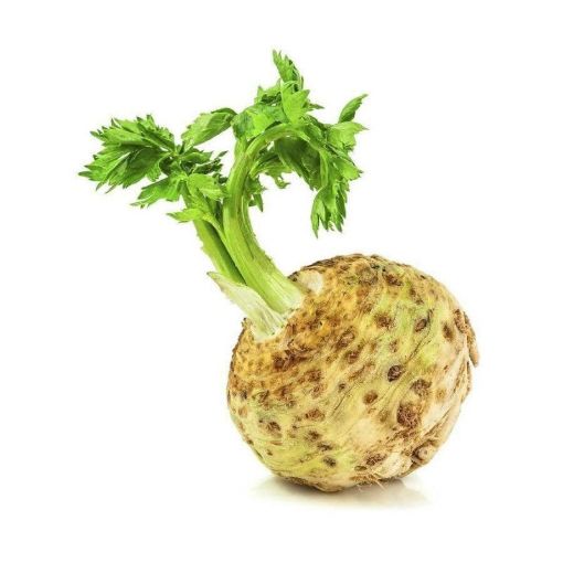 KƏRƏVİZ KOKU şəkli