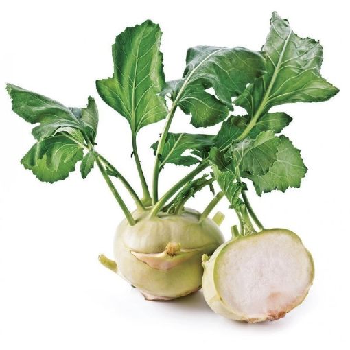 KÖHLRABİ KELEMİ KG şəkli
