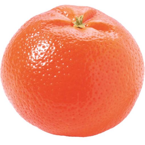 MANDARİN SATSUMA KQ şəkli