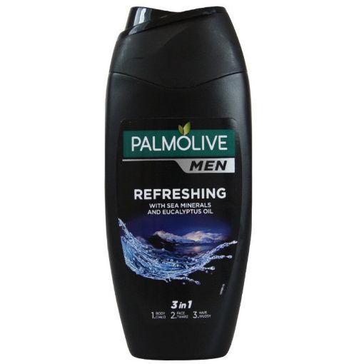 PALMOLIVE KİŞİ DUŞ GELİ 250 ML 3&1 şəkli
