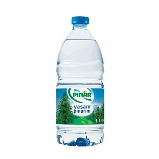 PINAR SU 1 L QAZSIZ şəkli