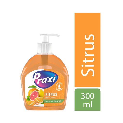 PRAXİ MAYE SABUN 300 ML TROPİC şəkli
