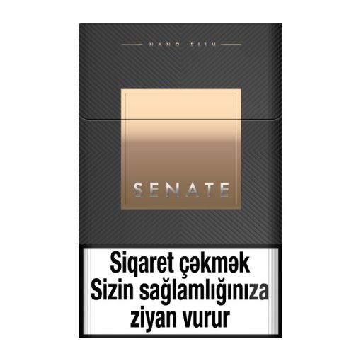 SENATE NANO RICH SILVER şəkli