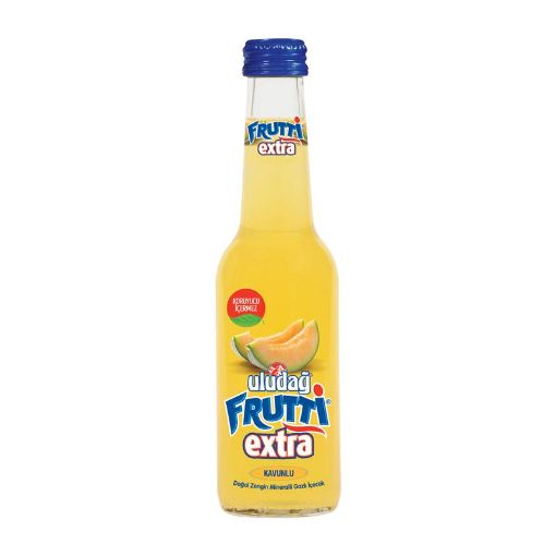 ULUDAĞ FRUTTI MEYVƏ SUYU 250 ML YEMİŞLİ şəkli