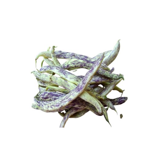 YERLİ LOBYA KG şəkli